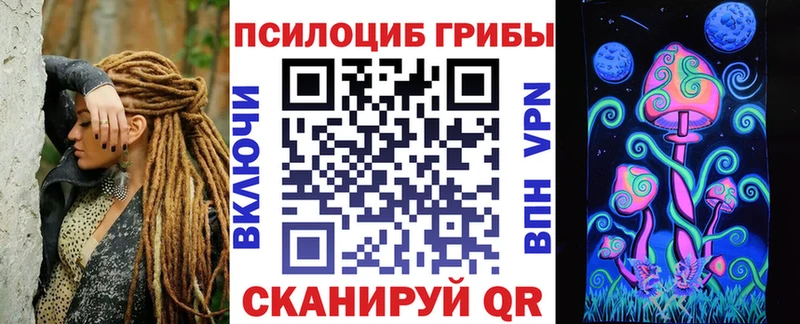 блэк спрут ссылки  Кызыл  Псилоцибиновые грибы Psilocybe 