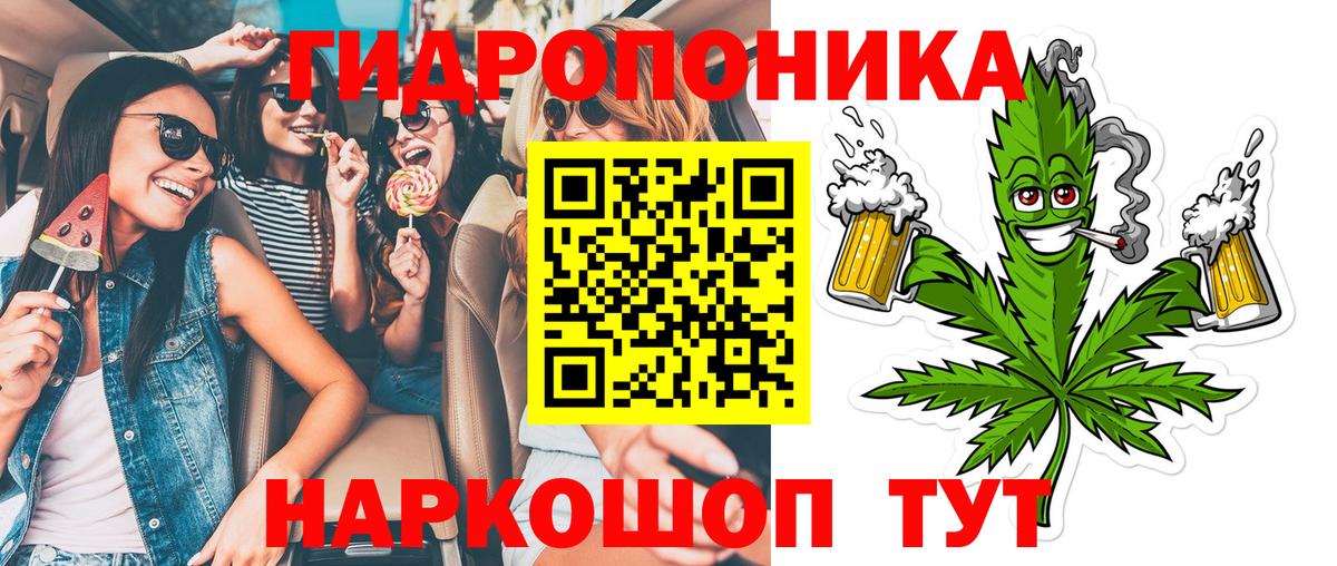 МАРИХУАНА сатива Кызыл